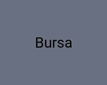 Bursa
